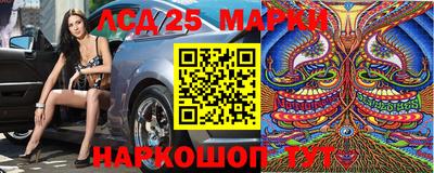 шишки Заводоуковск