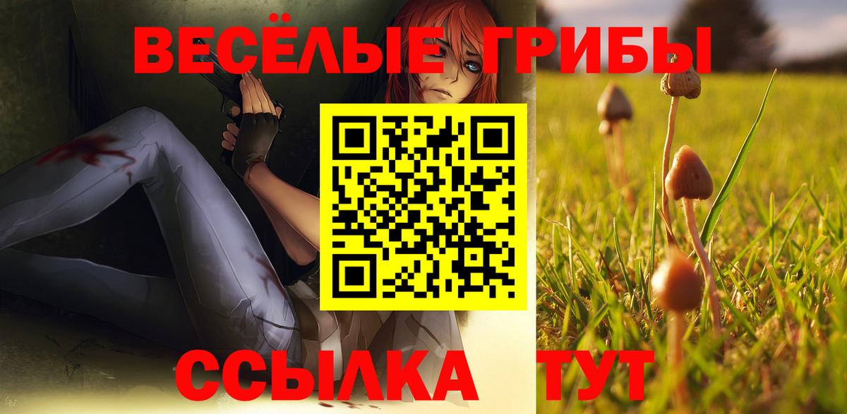 Соликамск  Галлюциногенные грибы мухоморы  Вход с VPN 